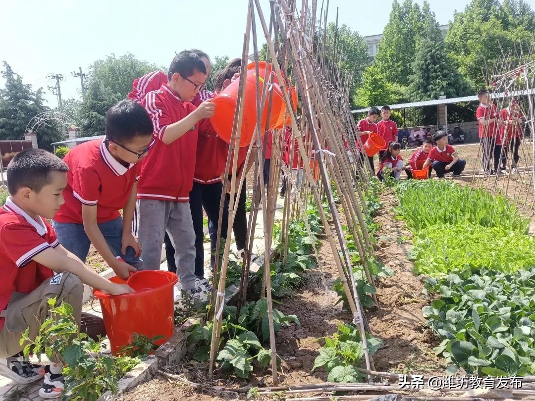 最新新闻周播报,新闻周播报完整版