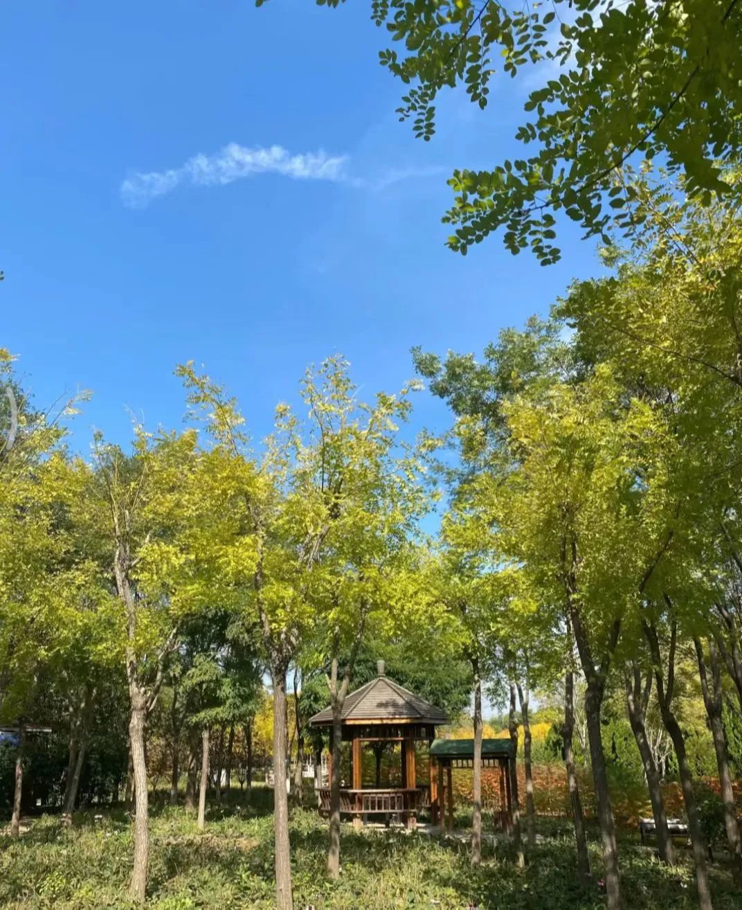 天津冬季遛娃,天津遛娃的免费公园