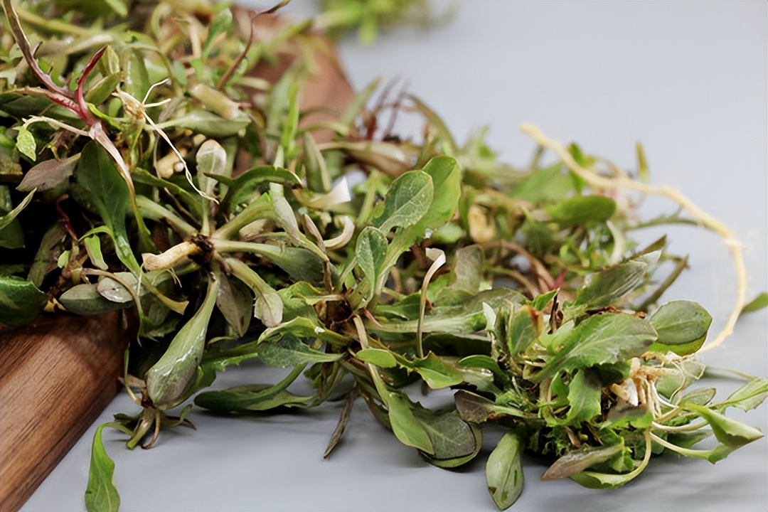 宫秀堂男科药效果,男科淋巴管炎用什么药