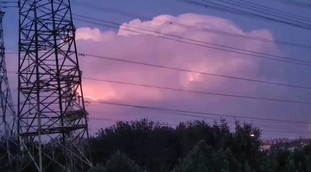 Moments｜创业者的2022：Recharge，劫后新生，海葵复苏了