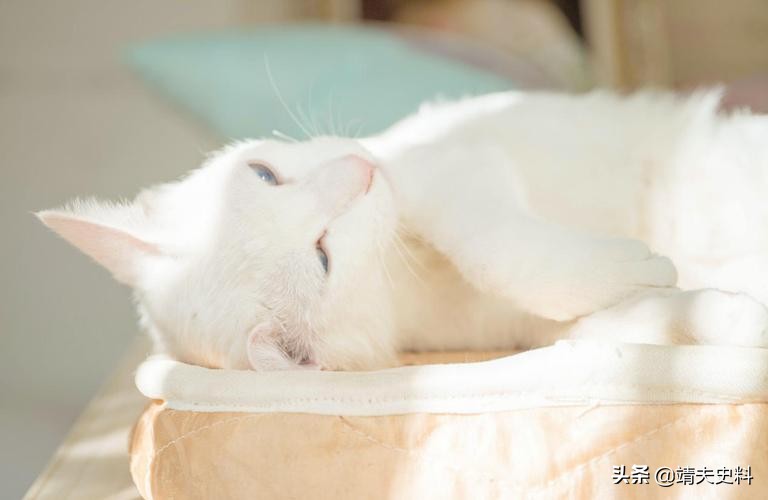 交智商税的骗局,中国哪些行为是在交智商税