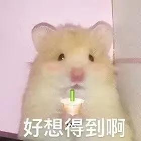 吃瓜动态表情包下载,躺床上吃瓜表情包