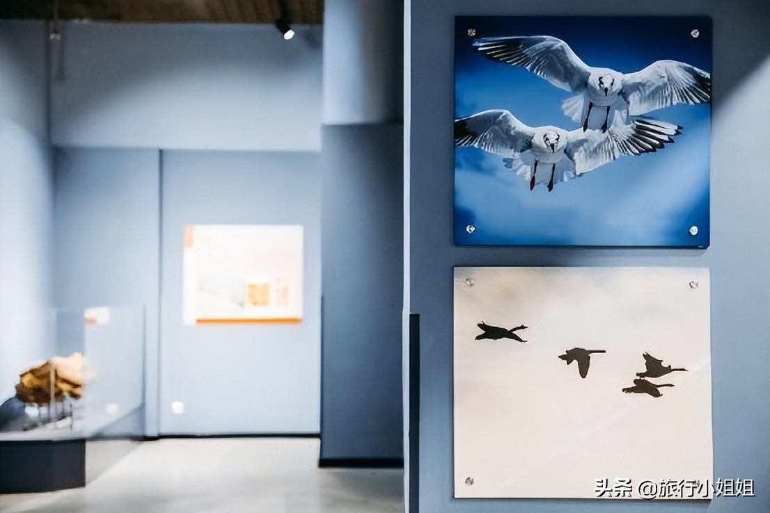 夏日海边浪漫迷人,滨城风光秀丽浪漫气息爆表