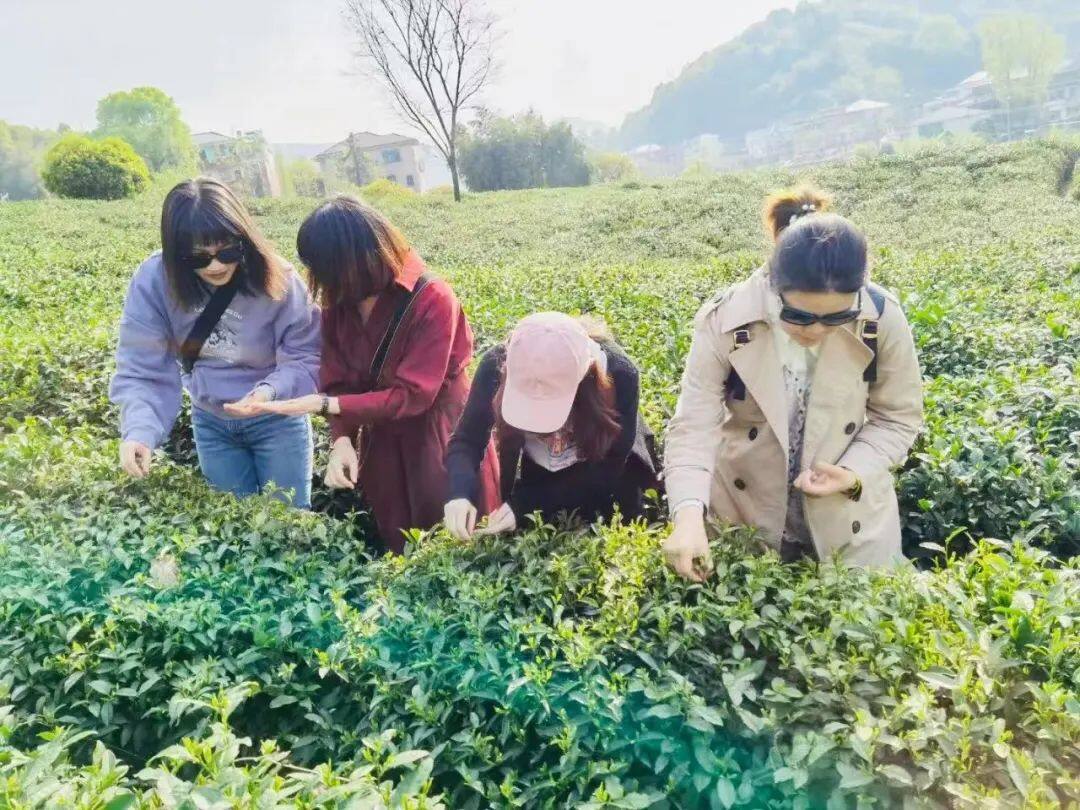离杭州比较近的浙江城市,离杭州很近的市区