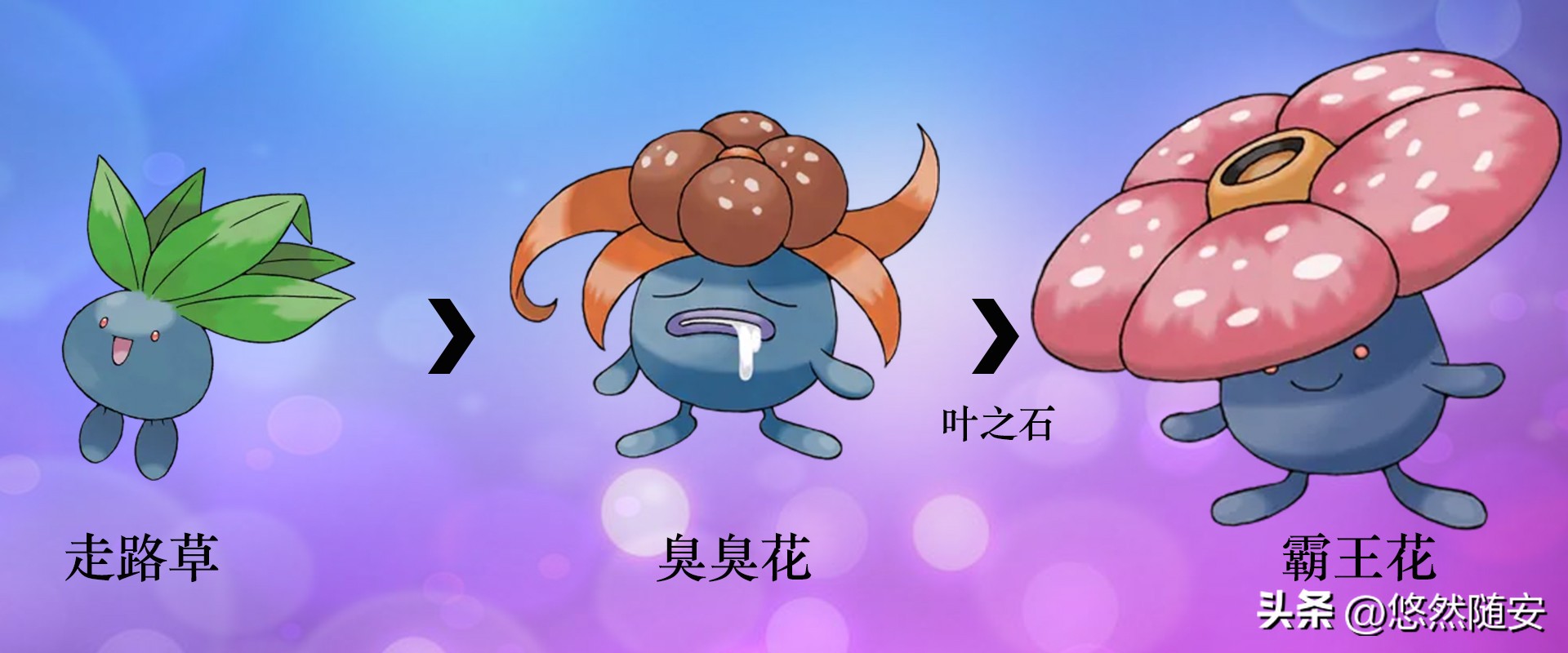 宝可梦所有御三家进化形态,宝可梦小火狐进化形态