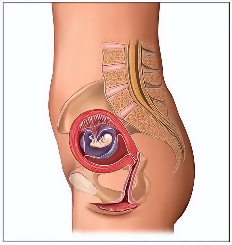 怀孕初期1-7天症状需要注意什么,孕妈这几个症状一定要注意