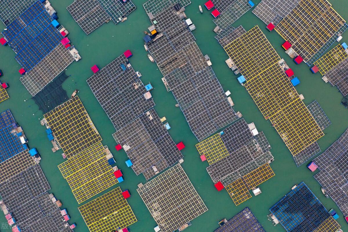 吃海鲜便宜的旅游胜地,最值得去的海鲜自助