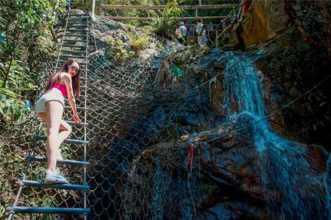 旅游年卡飞熊乐园,水上乐园年卡团购限几人
