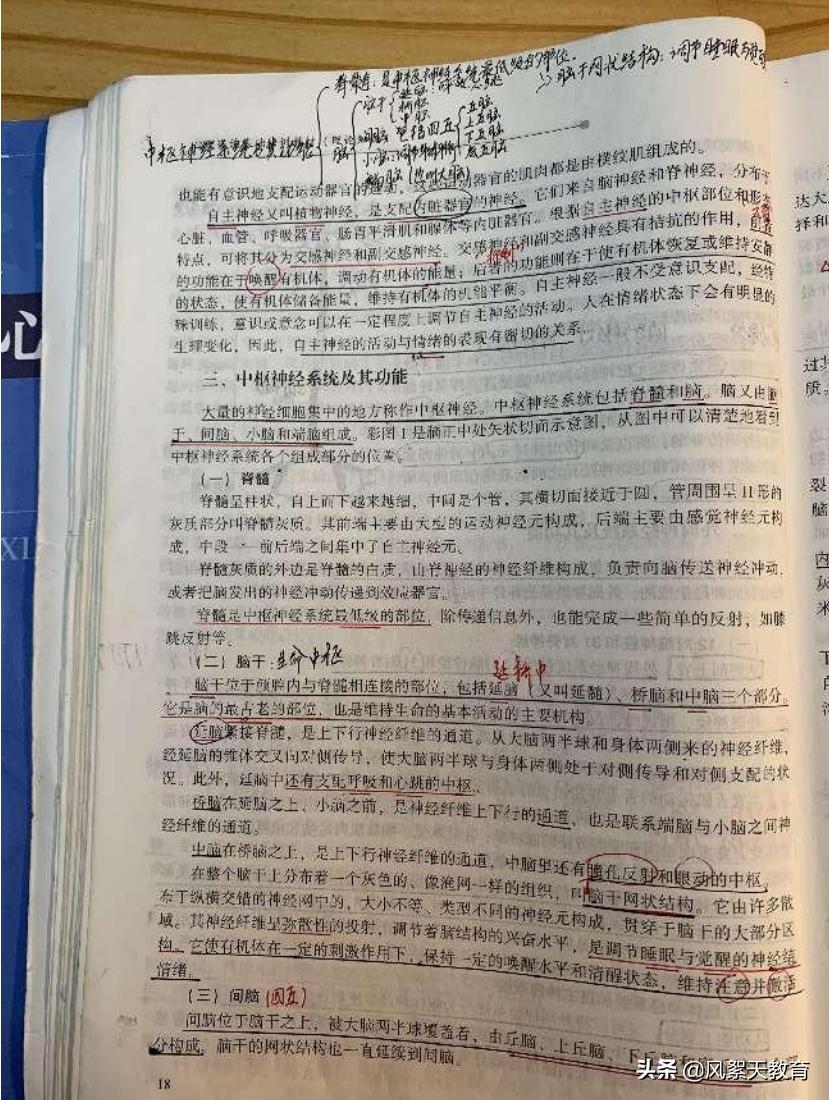 蜕变——成为更好的自己：一位老师，关于心理咨询师的学习分享