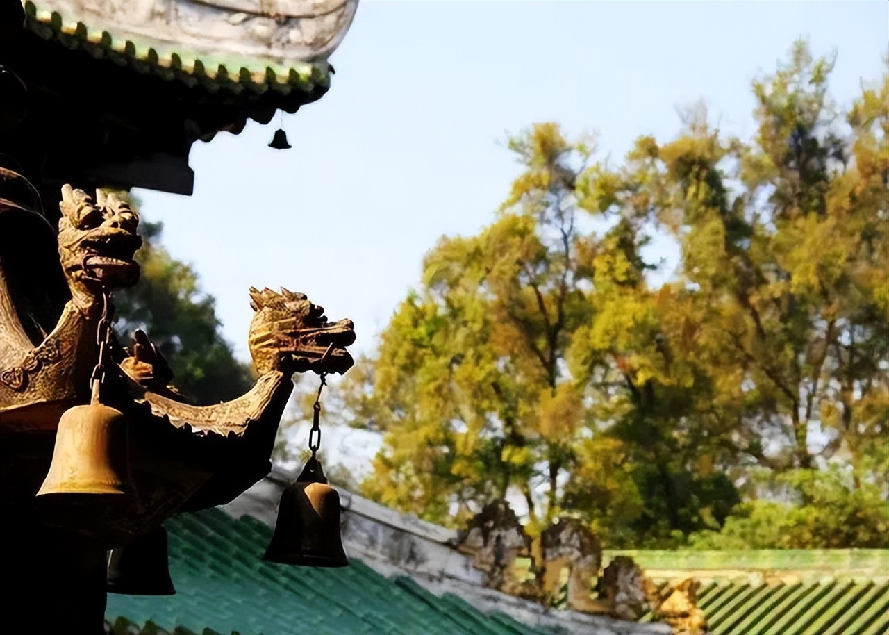 letsgo一周目攻略,letsgo图鉴攻略