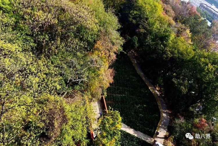 武汉十大旅游景点排名,武汉江夏网红打卡景点大全