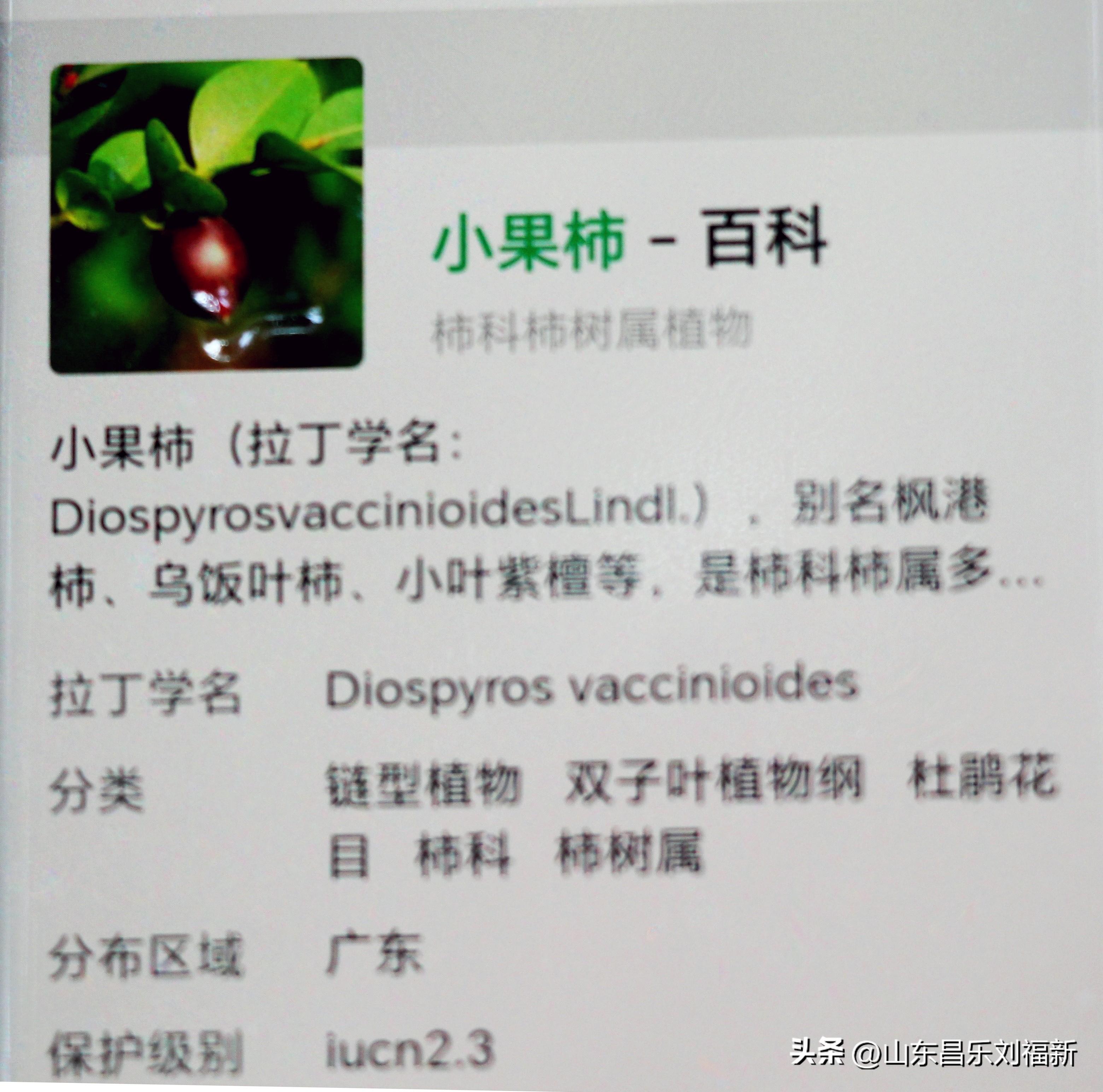 碧水龙庭深圳7栋4单元,顺光风景片拍摄