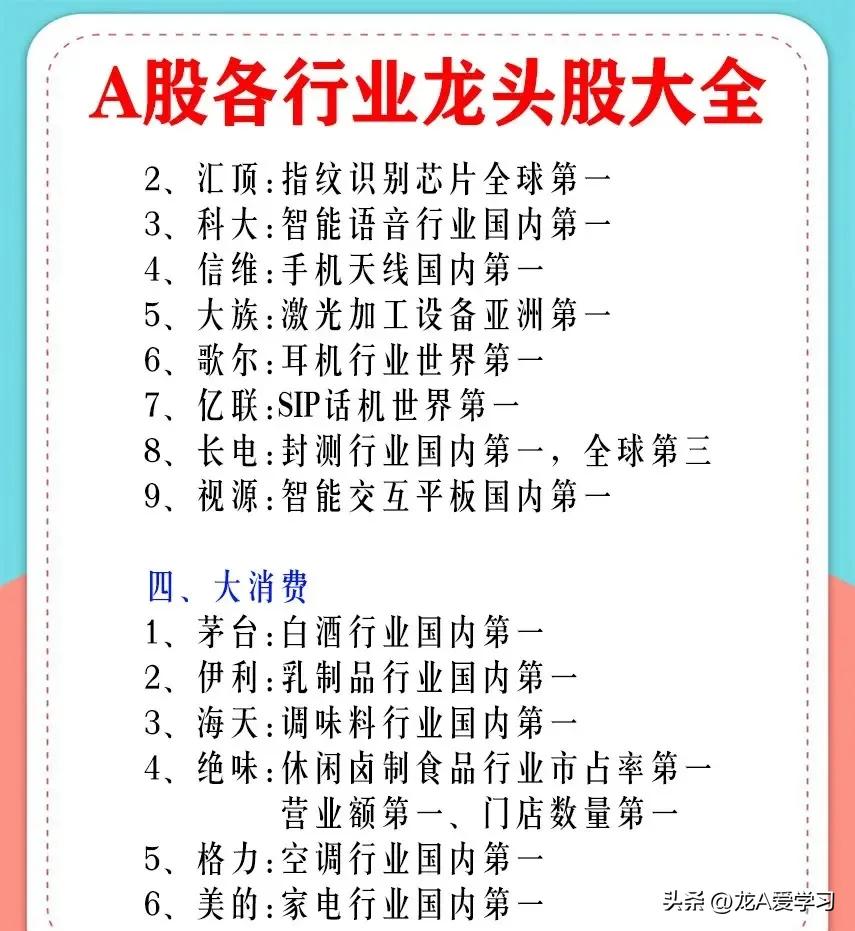 最有价值投资的蓝筹股,a股最具价值投资的行业龙头股