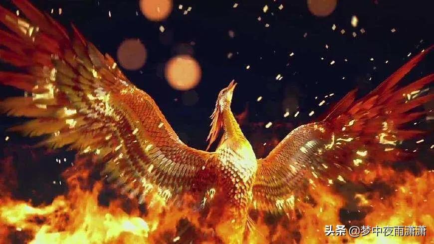 浴火涅槃重生,浴火涅槃