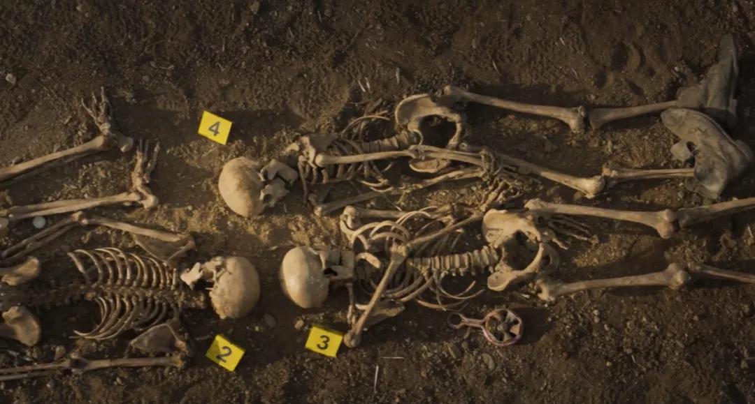 海报被禁又怎样，他一出手还是神作