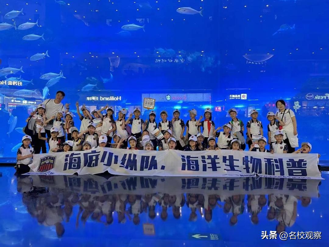 蔚蓝做苍穹，鱼儿变繁星！新川学子，走进浩海立方，探秘无限海洋