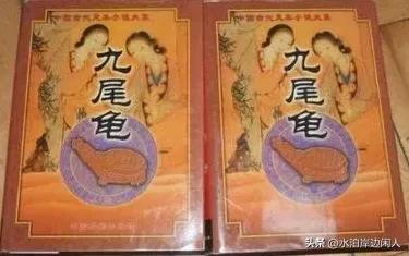 清代小说九尾龟,九尾龟小说完整版