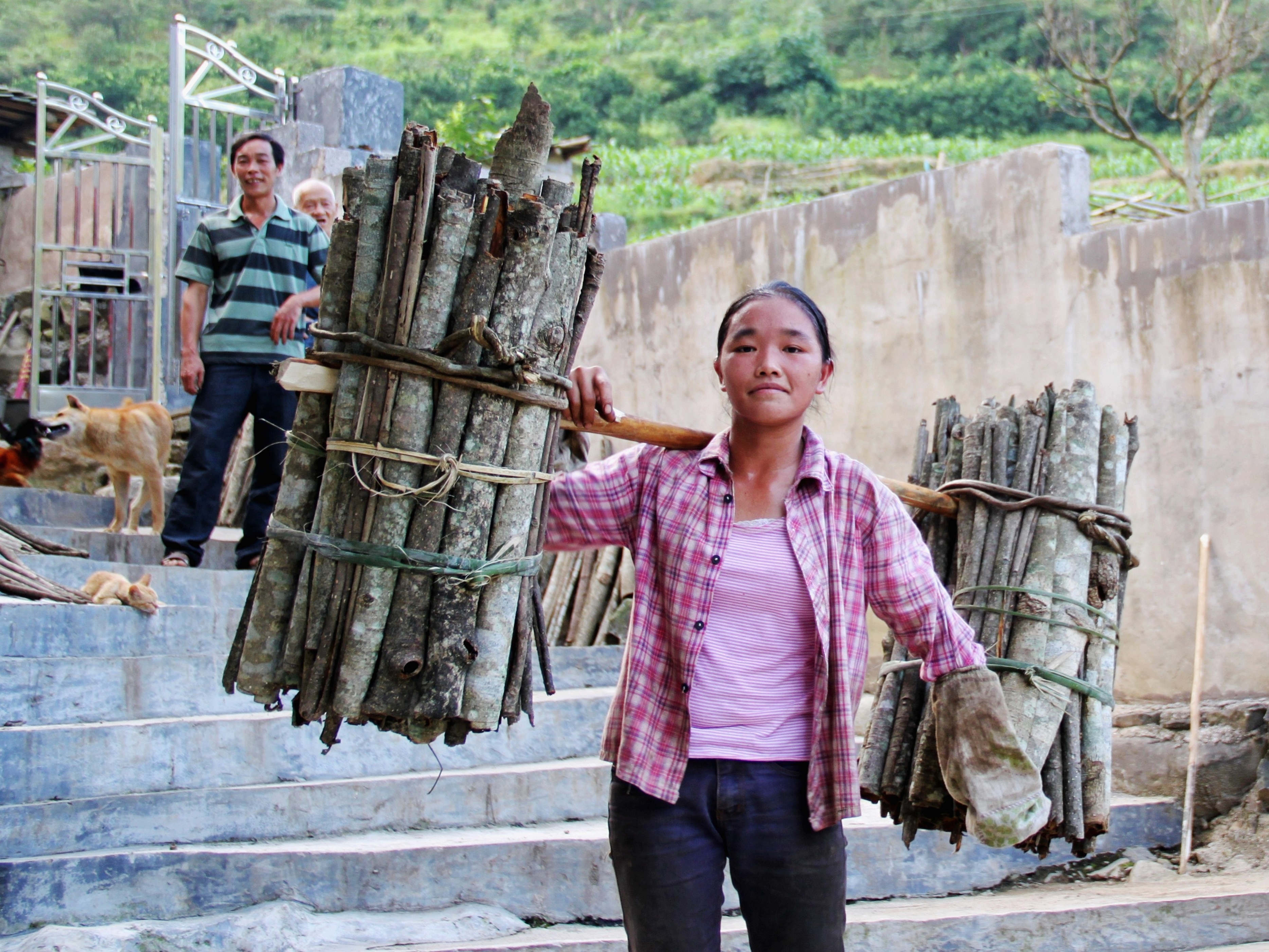 广西钟山：“绿色银行”点“绿”成“金”