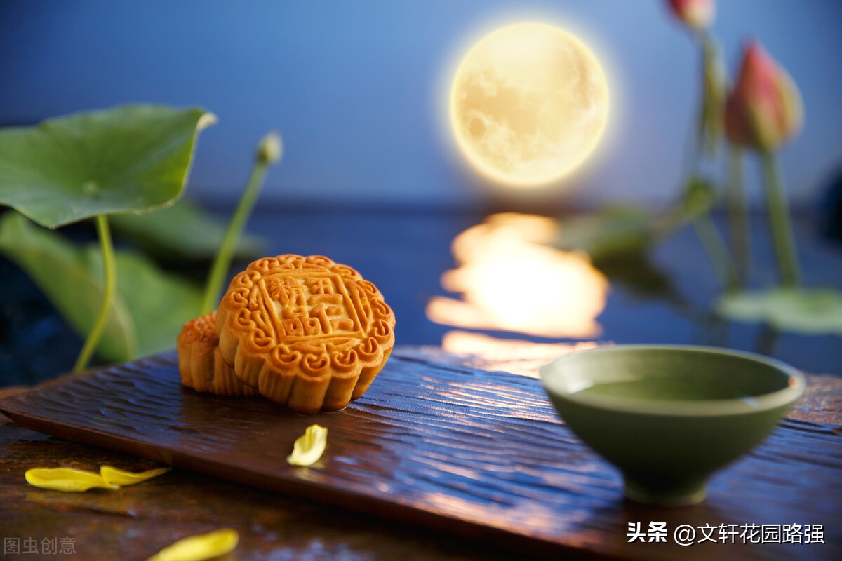 关于中秋节或带有月的古诗词,中秋月月到中秋偏皎洁赏析