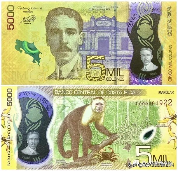 IACA 宣布 2022 年卓越货币奖的入围名单