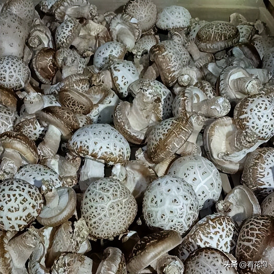 泌阳县1965年地图,河南泌阳县最新人口