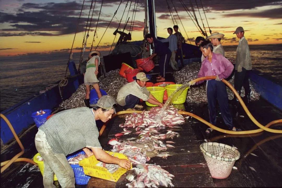 揭开8万人滞留三亚的疫情源头之谜：一艘越南渔船的非法交易