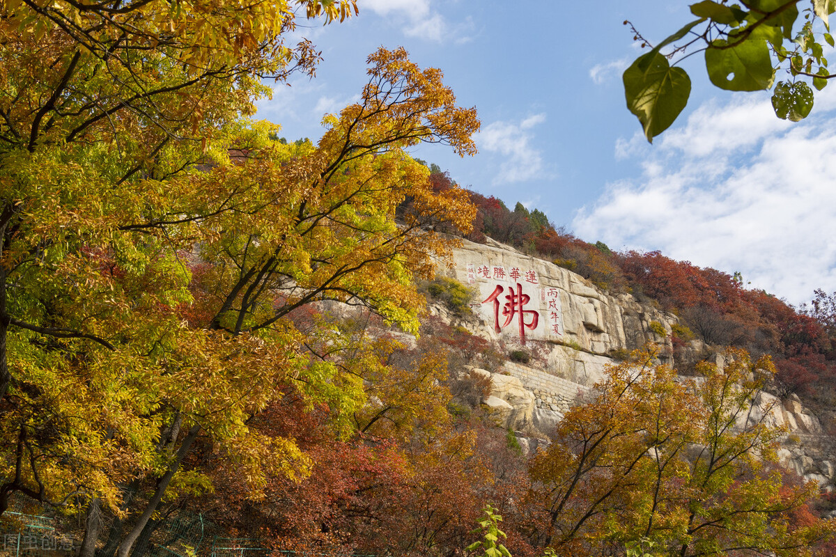 没想到济南的秋天竟然可以这样美,秋天济南哪个景区最美