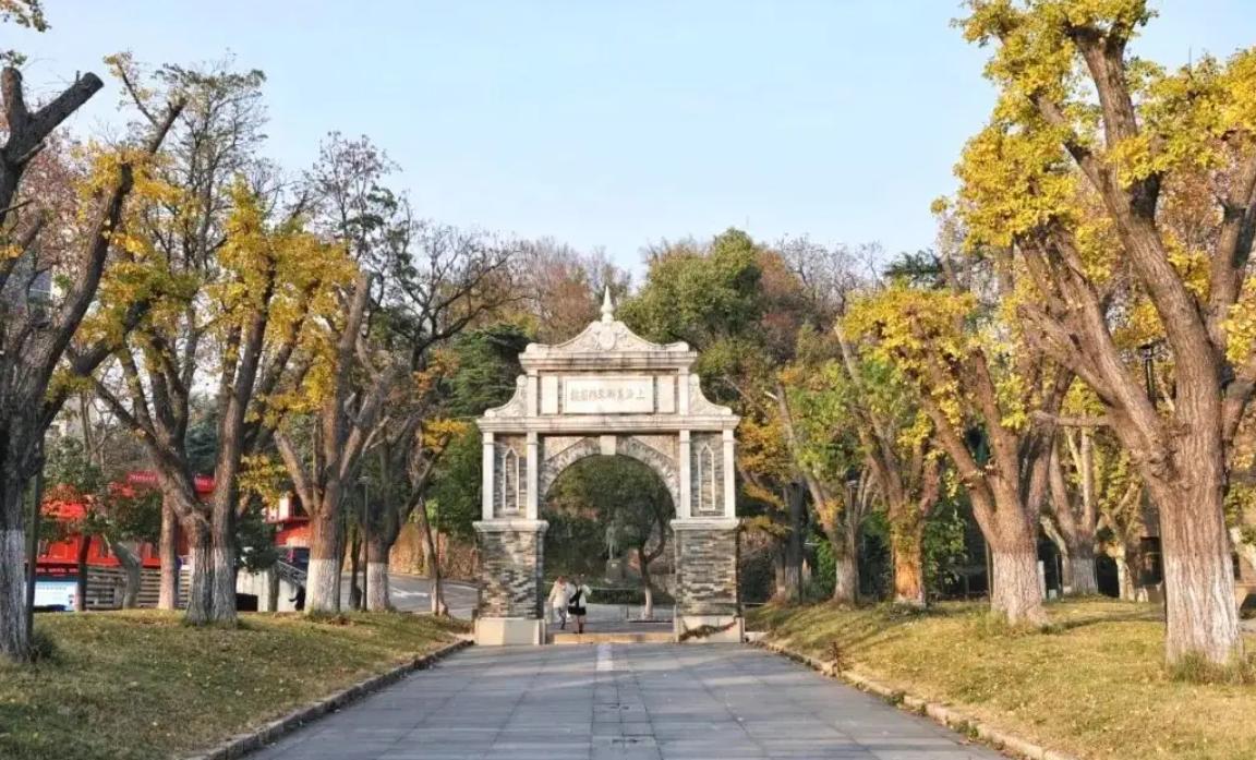 南京艺术学院全国艺术类高校排名,南京艺术学院的一本专业