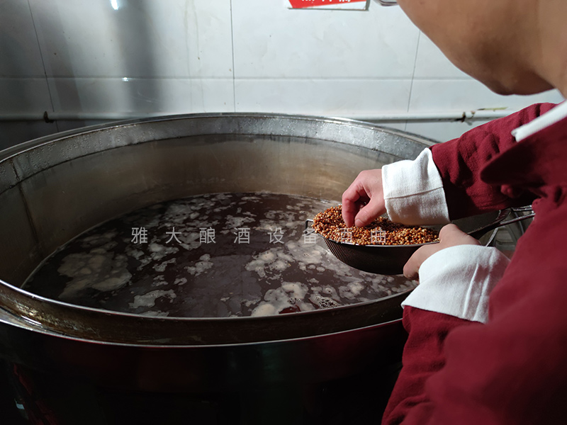 一般酿酒设备蒸粮全过程,酿酒设备做固态酒