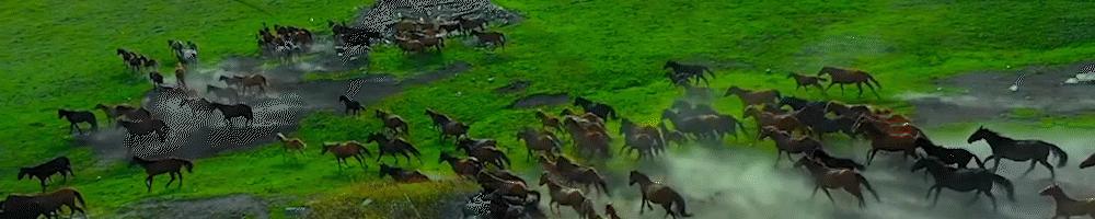 美国希望美元上涨还是下跌,美国布局中东成功还是失败