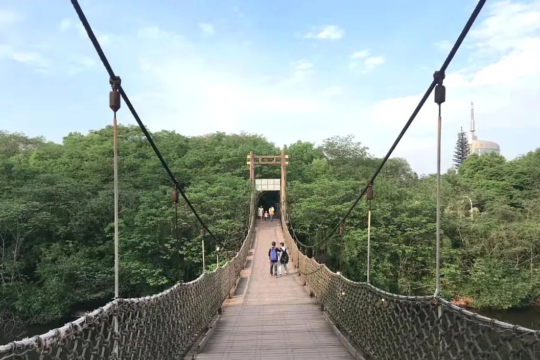 莫负*光春**|这5家希酒店旁的公园真的太美了