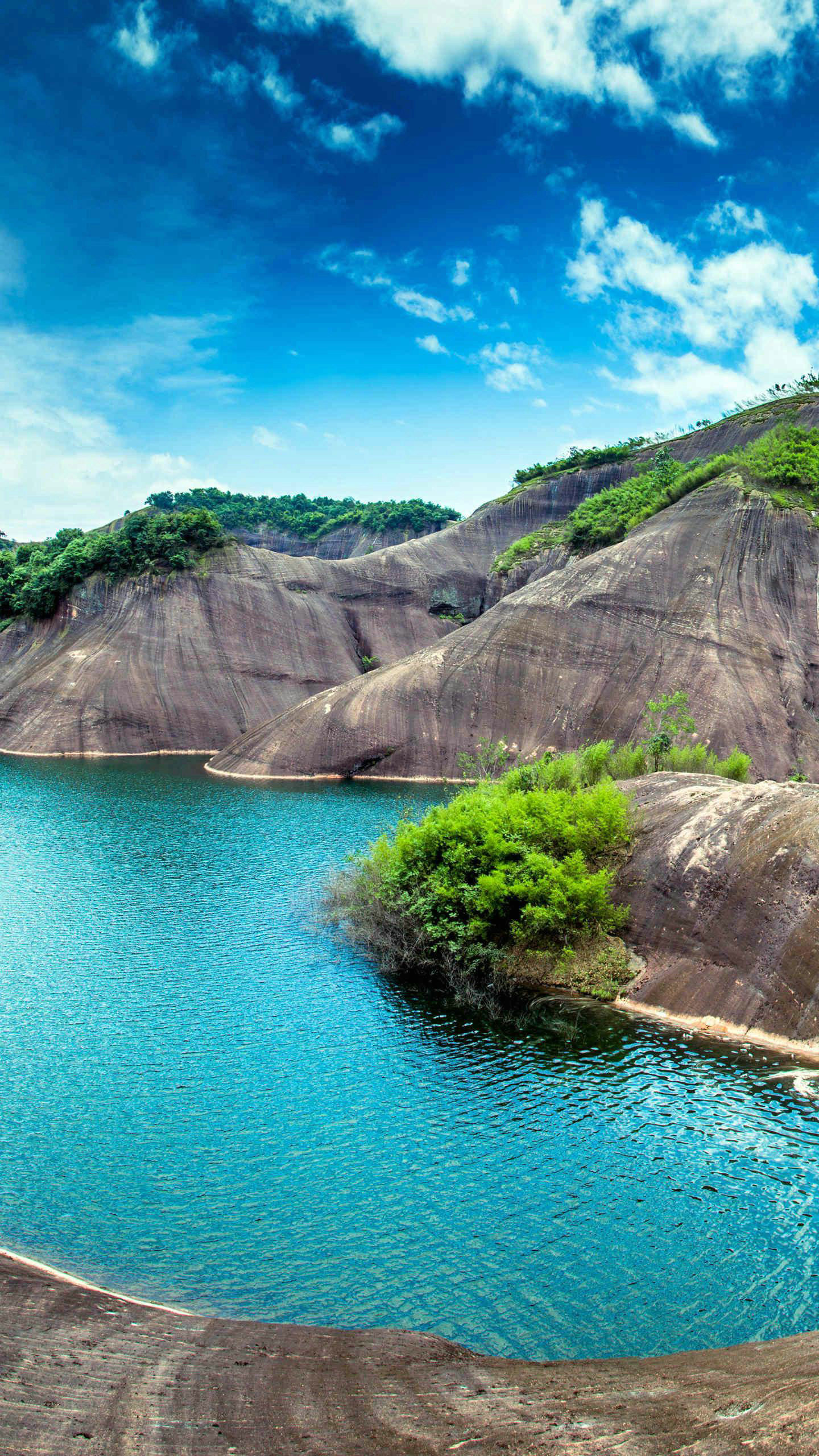 钟奋生每日分析,钟奋生每日一句话
