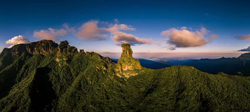 宝兴高山杜鹃,大别山杜鹃科普园