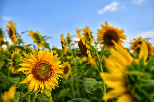 老公回消息很慢怎么回复,老公一直不回微信什么原因