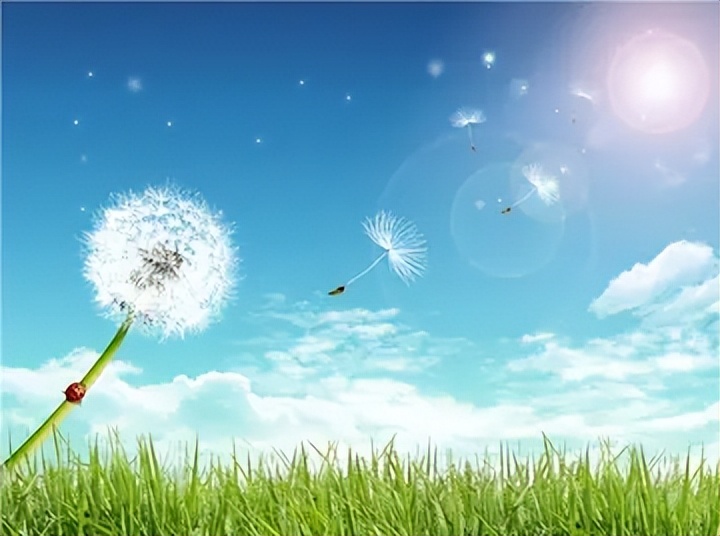 创业小白创业需要注意什么,创业需要具备的5大基本条件