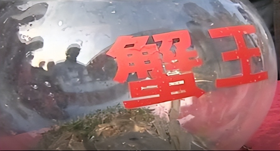 两只螃蟹拍卖出20万，农村大叔养出天价蟹，带动当地年收入20亿