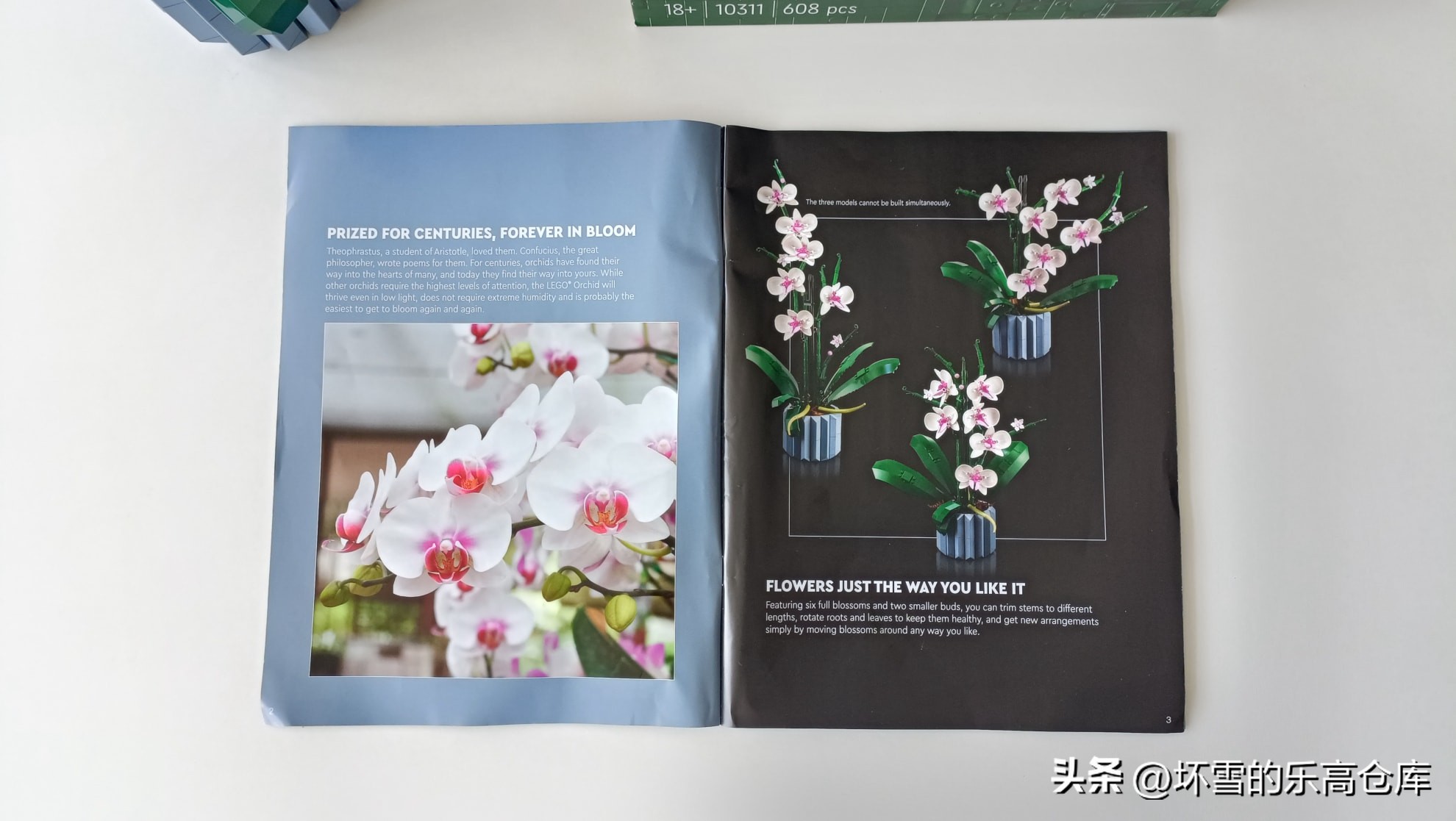 乐高兰花图片及价格,乐高兰花测评