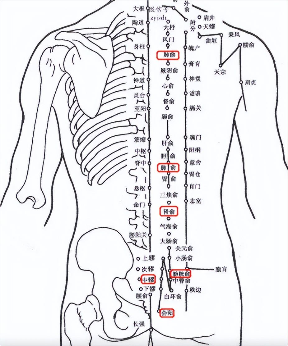 艾灸治漏尿的穴位,三伏灸祛除湿气