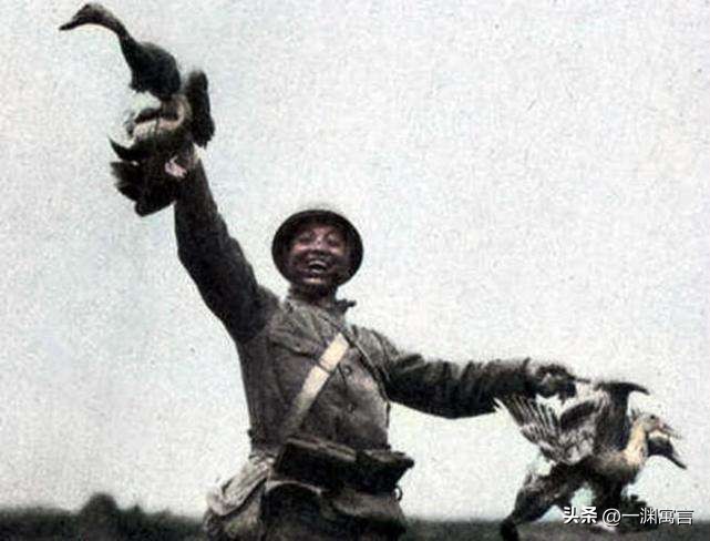 日本兵偏爱吃鸡！1937年*京大南***杀屠**中的荒唐一幕，家中有鸡能救命