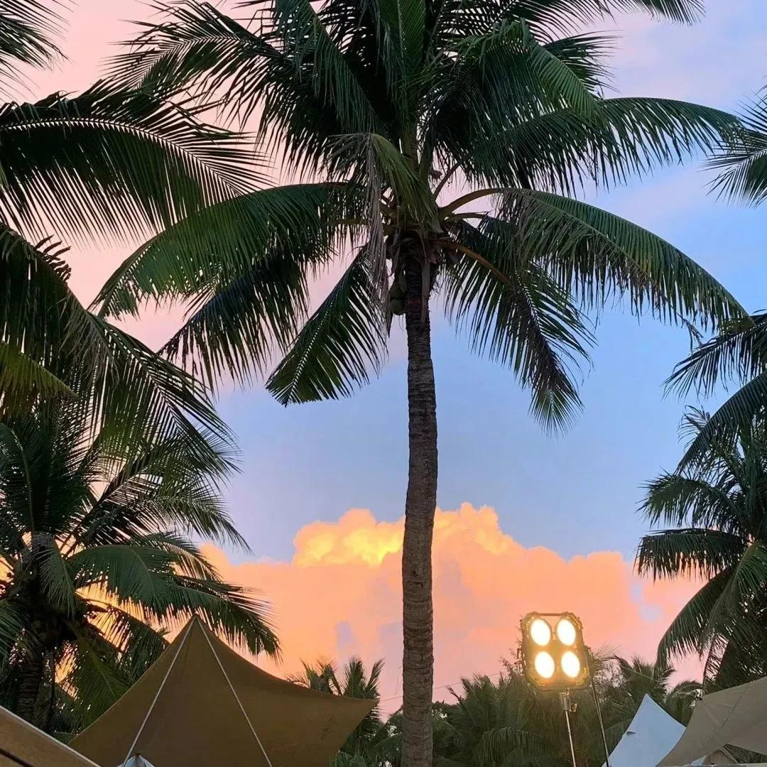 小众背景图朋友圈,干净小众背景图纯色