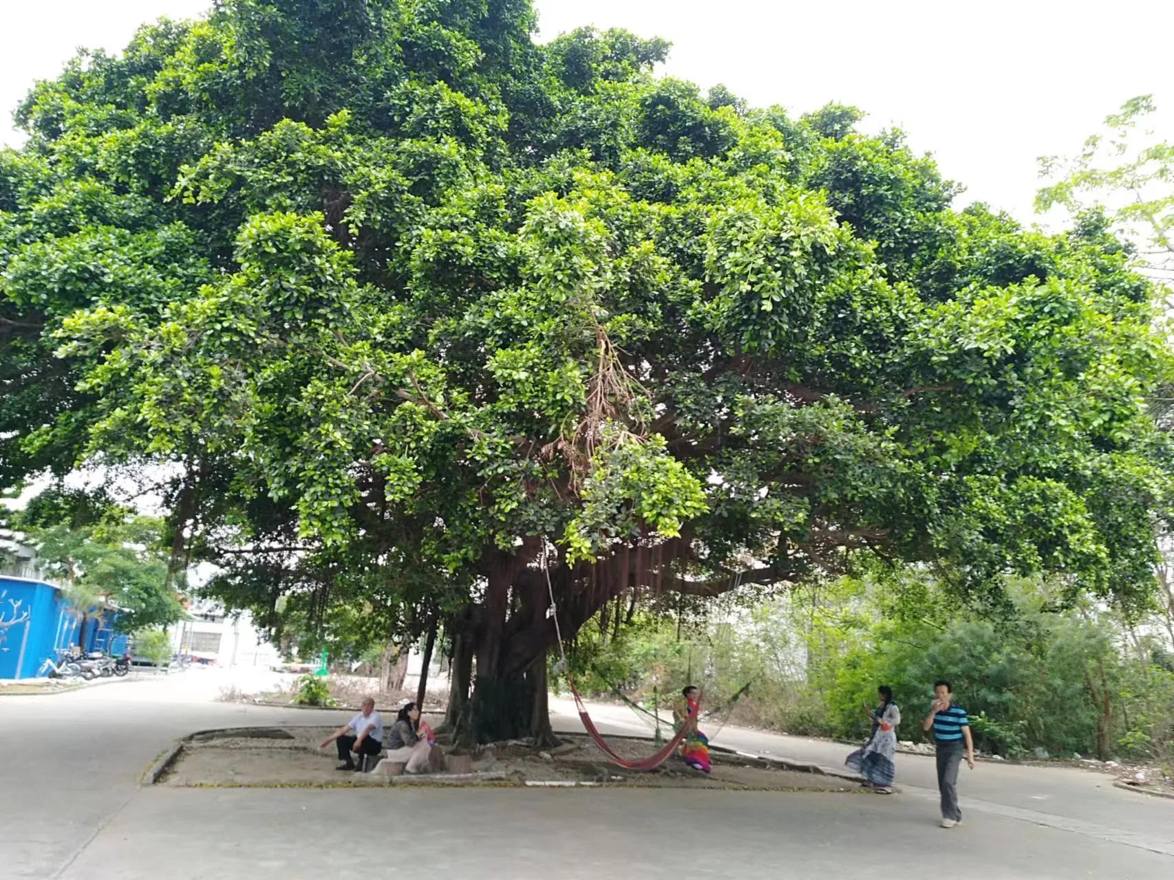 游记北海,游记南宁北海