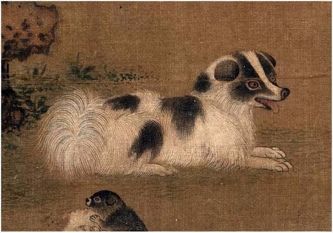 为什么说猪来穷狗来富猫来开当铺 (农村俗语猪来穷狗来富猫来开当铺)