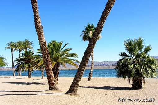 美国棕榈滩富人区和比弗利山庄,棕榈滩在美国哪个城市