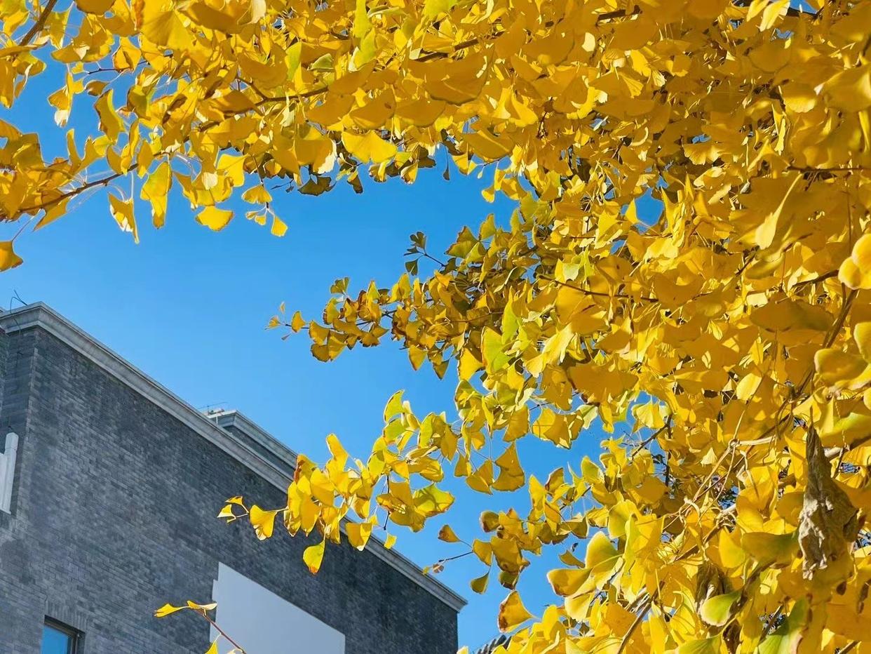 骁龙8gen2手机推荐4000以内,骁龙8gen1降频版4000元手机