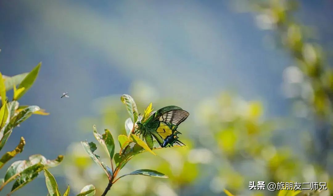 金秀圣堂湖在圣堂山吗,广州南浦出发一日游