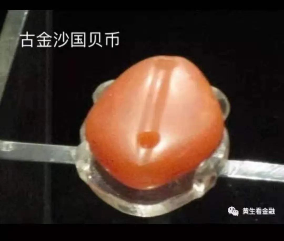 天然贝币真品价格,原始贝币发展史