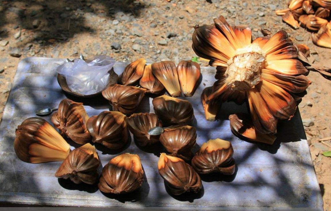 越南人不吃什么食物,越南吃国内不能吃的食物