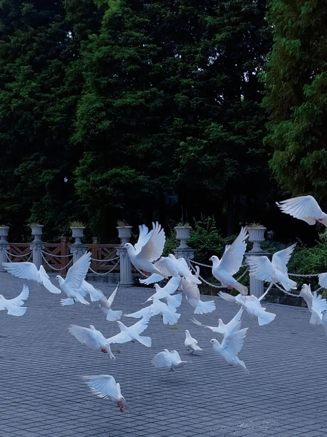 春暖花开运动好时节,春暖花开该开始运动了