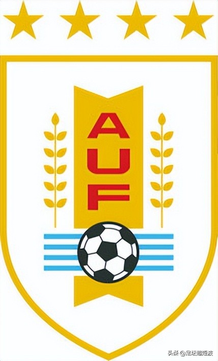 申花最新重点阵容,申花最新名单