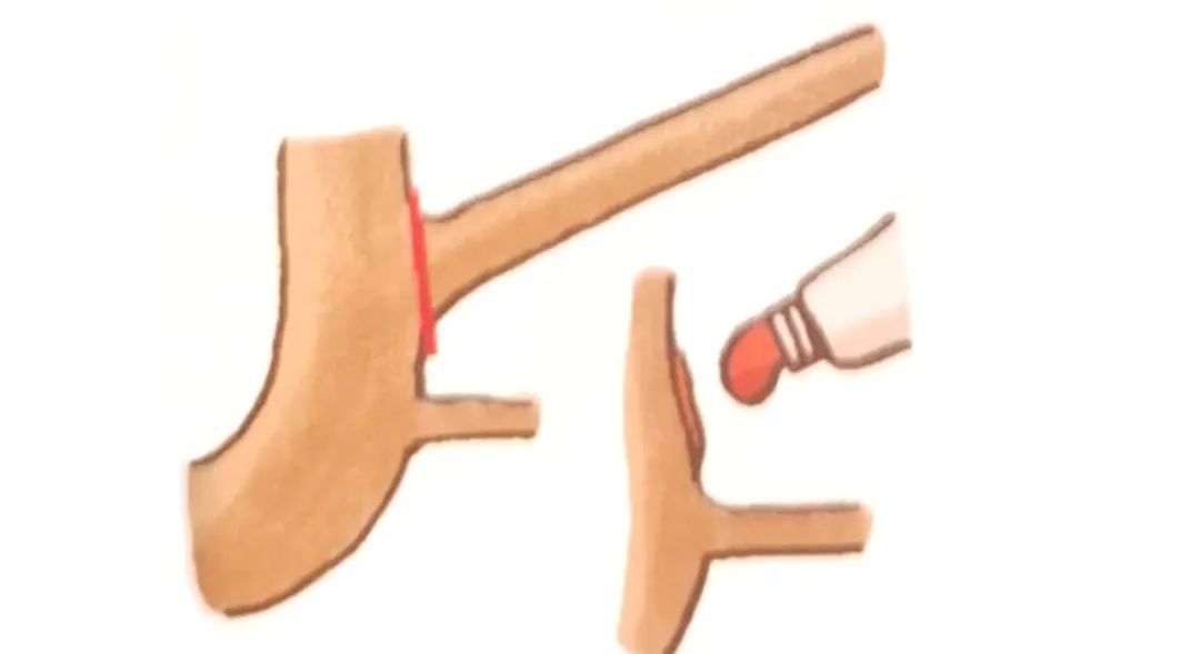 榆树盆景鸡爪枝修剪,映山红盆景花后怎样修剪枝